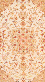 Carpetes persas Tabriz 50Raj | 150 x 100 cm