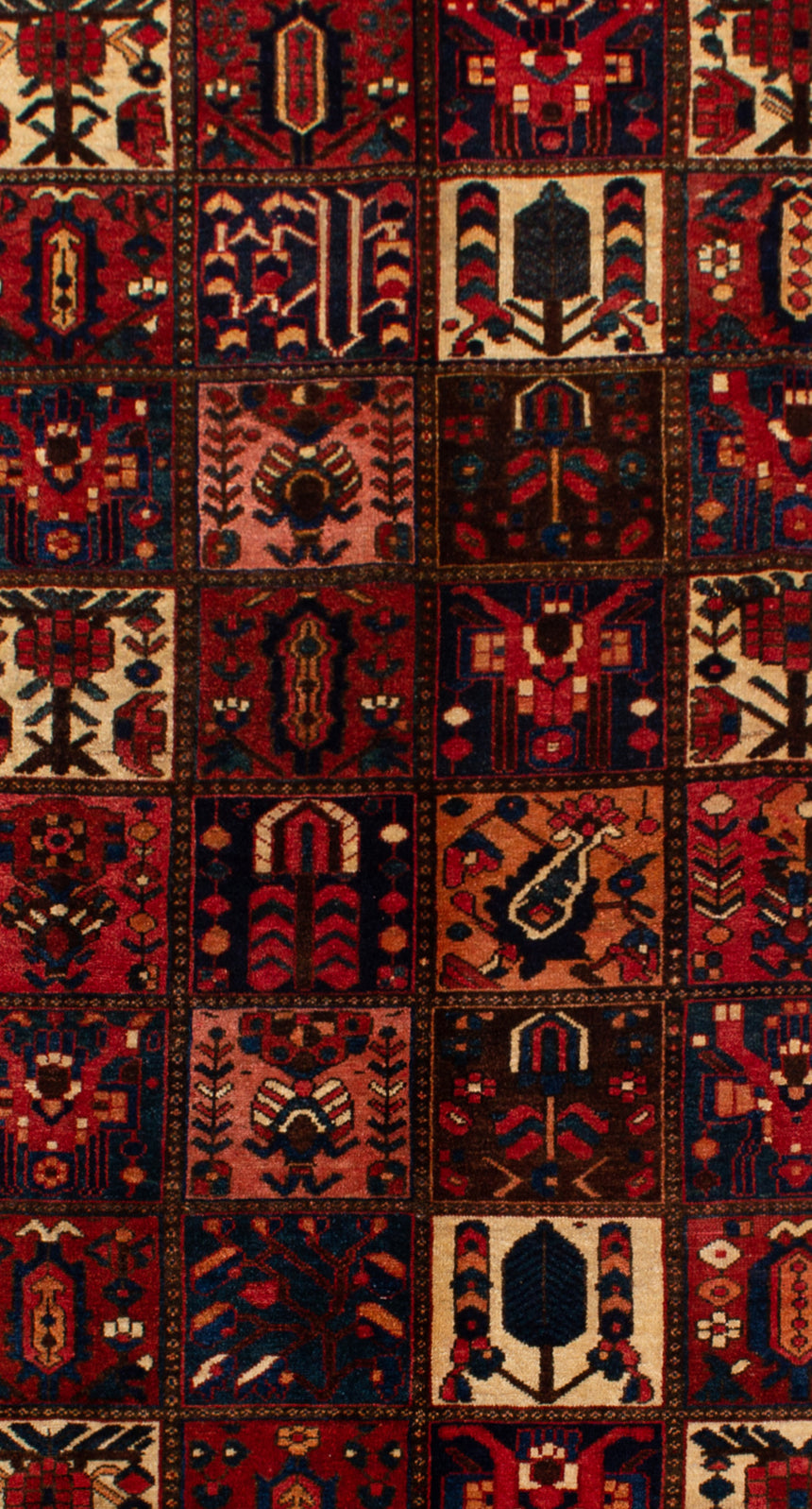 Alfombra Persa Bakhtiar | 303 x 167 cm