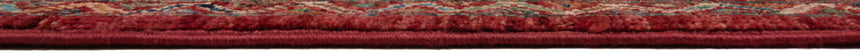 Alfombra Ziegler Premium | 300 x 209 cm