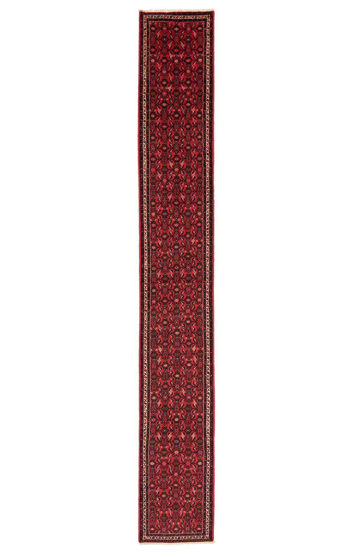 Alfombra Persa Hamedan | 590 x 83 cm