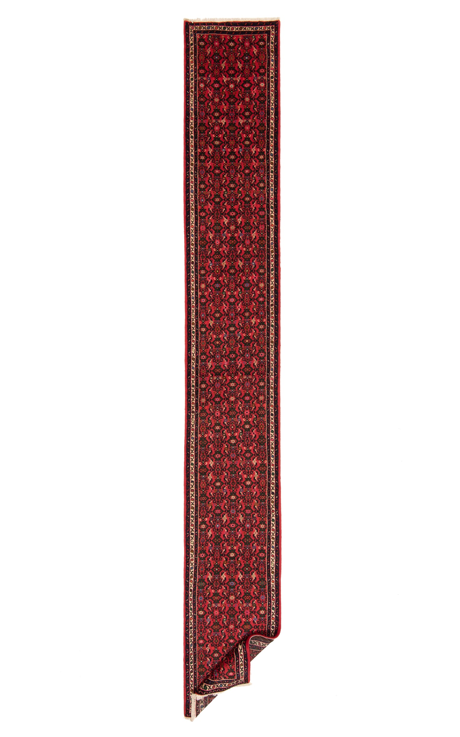 Hamedan Persian Rug | 590 x 83 cm 