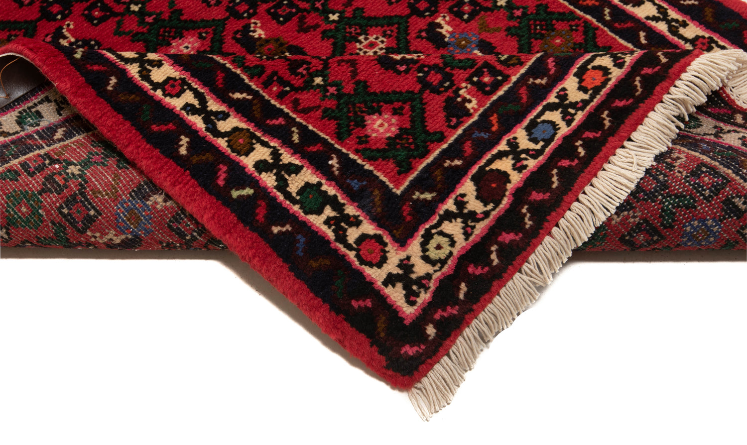 Hamedan Persian Rug | 590 x 83 cm 