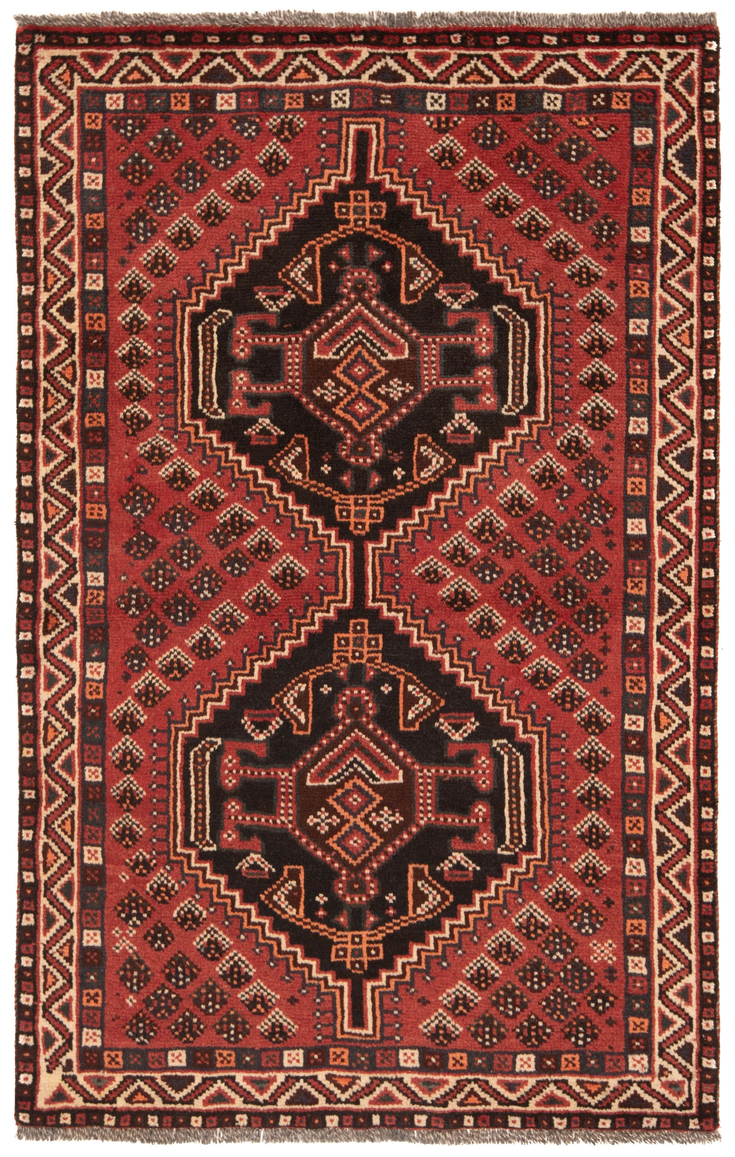 Tapete Persa Shiraz | 152x99cm 