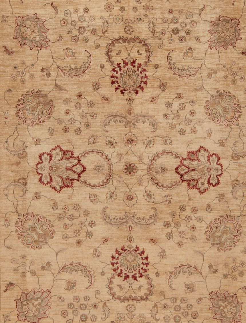 Ziegler Alfombra | 350 x 250 cm