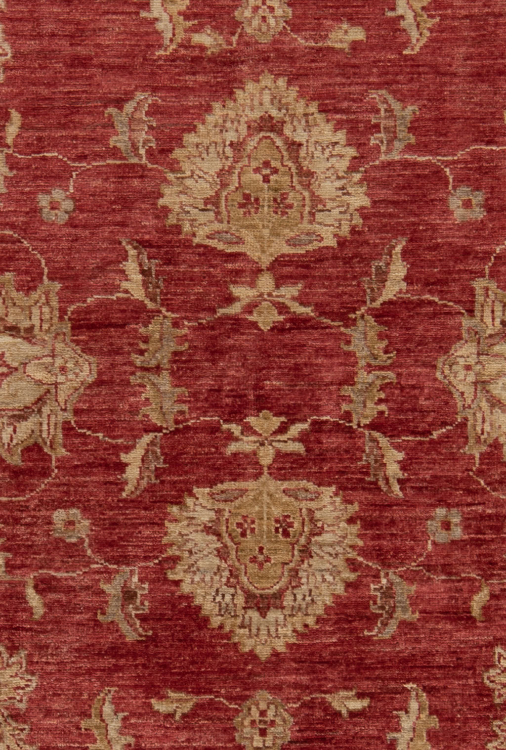 Ziegler Alfombra | 193 x 194 cm