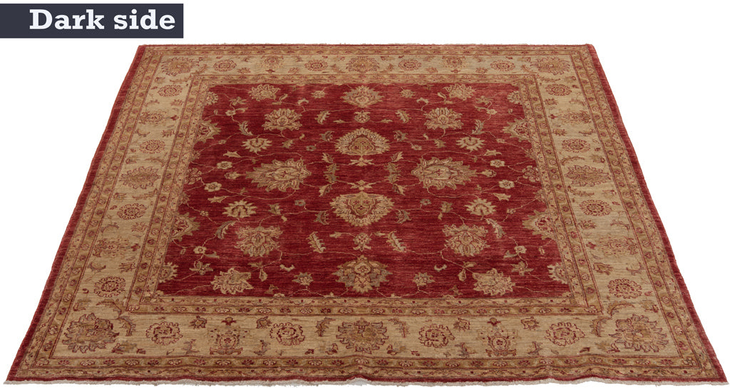 Ziegler Alfombra | 193 x 194 cm
