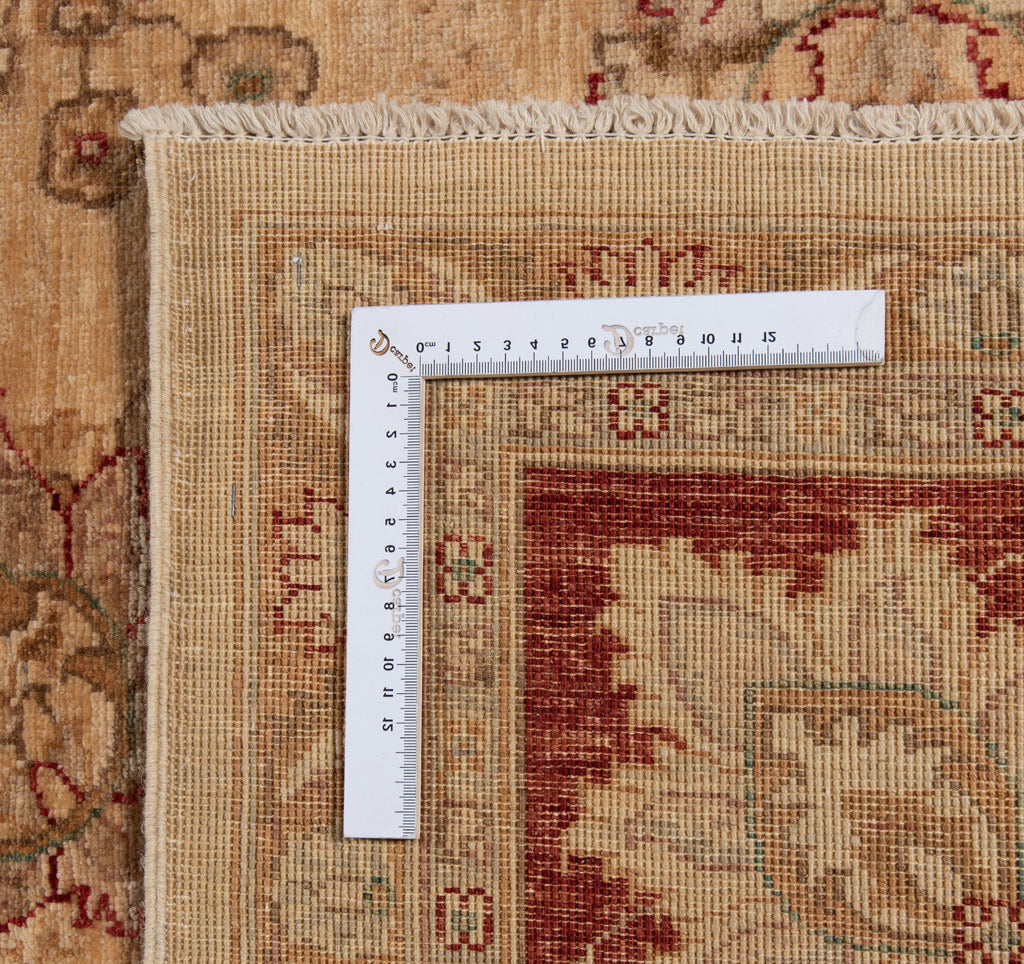 Ziegler Rug | 350x250cm