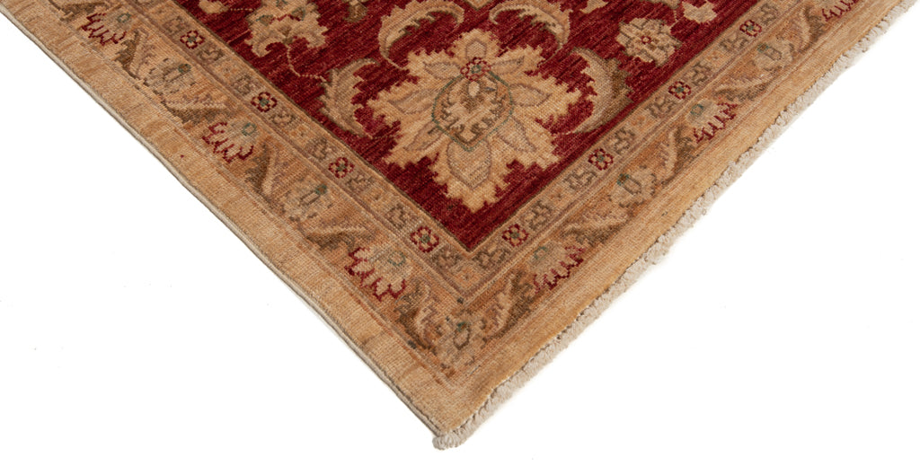 Ziegler Rug | 350x250cm