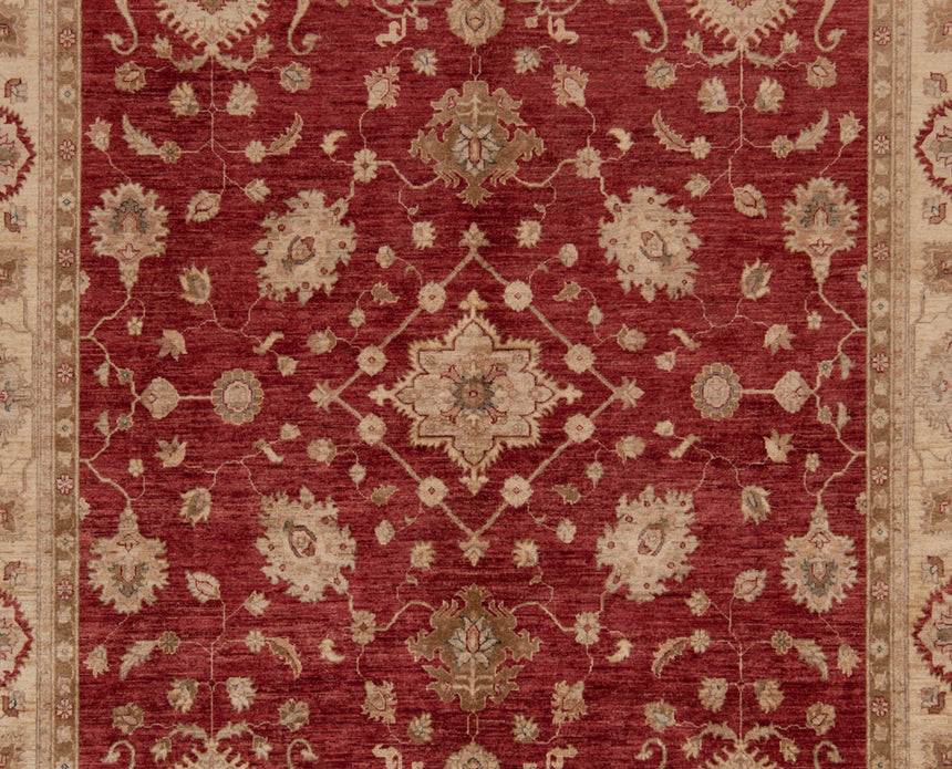 Ziegler Alfombra | 340 x 245 cm