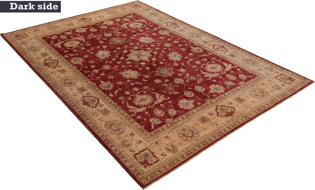 Ziegler Rug | 340x245cm