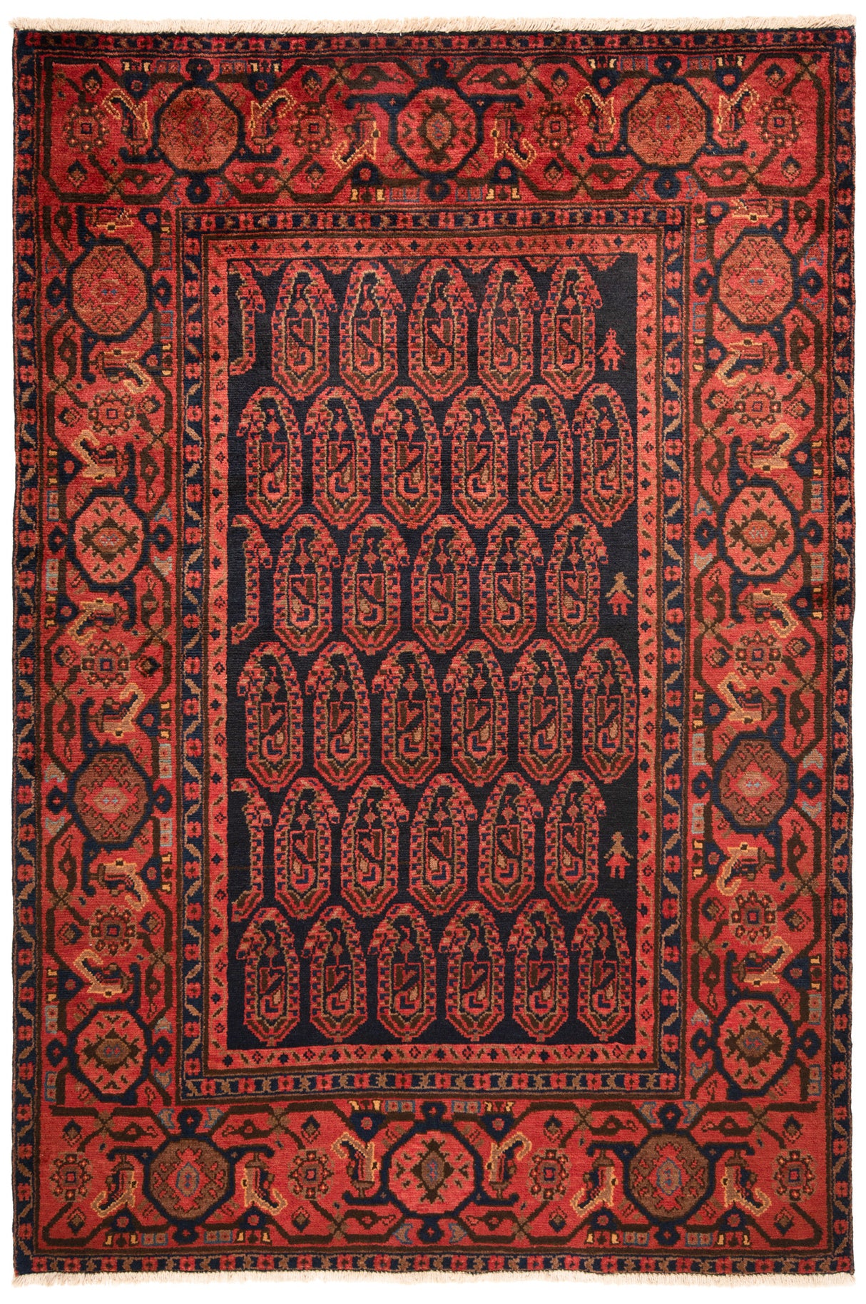 Carpetes persas Hamedan Brojard | 206 x 139 cm