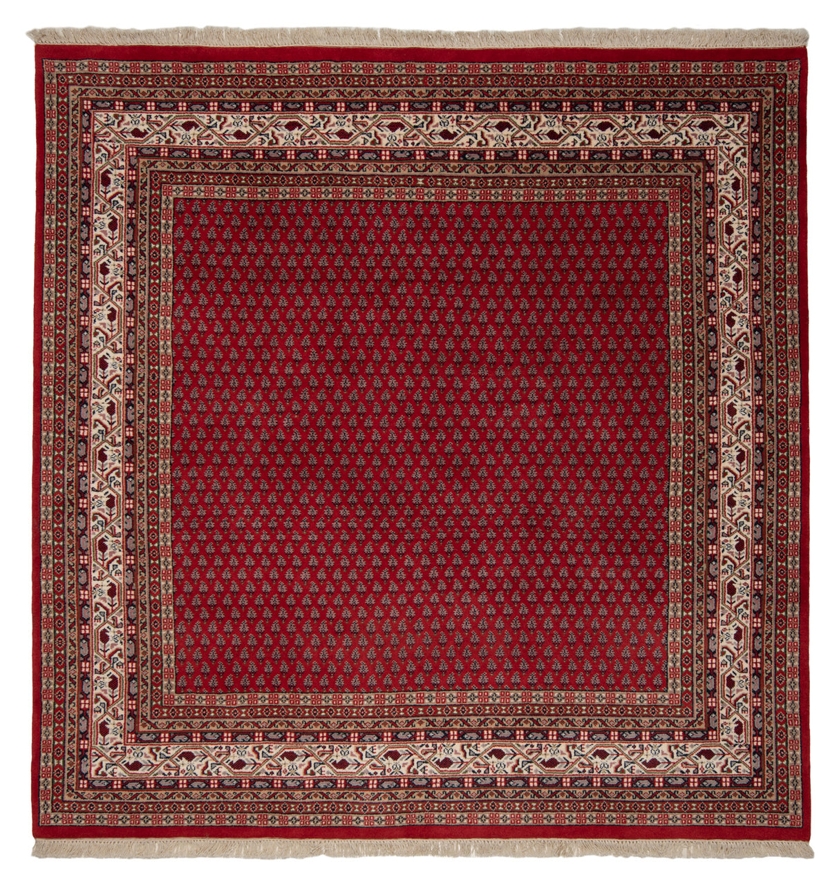 Alfombra Indo Sarouk Mir | 200 x 198 cm