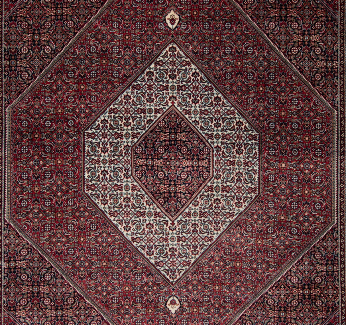 Alfombra Indo bidjar | 313 x 250 cm