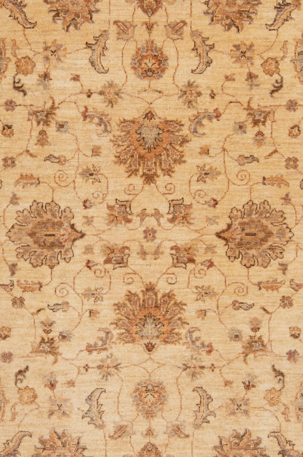 Carpetes de Ziegler Farahan | 206 x 152 cm