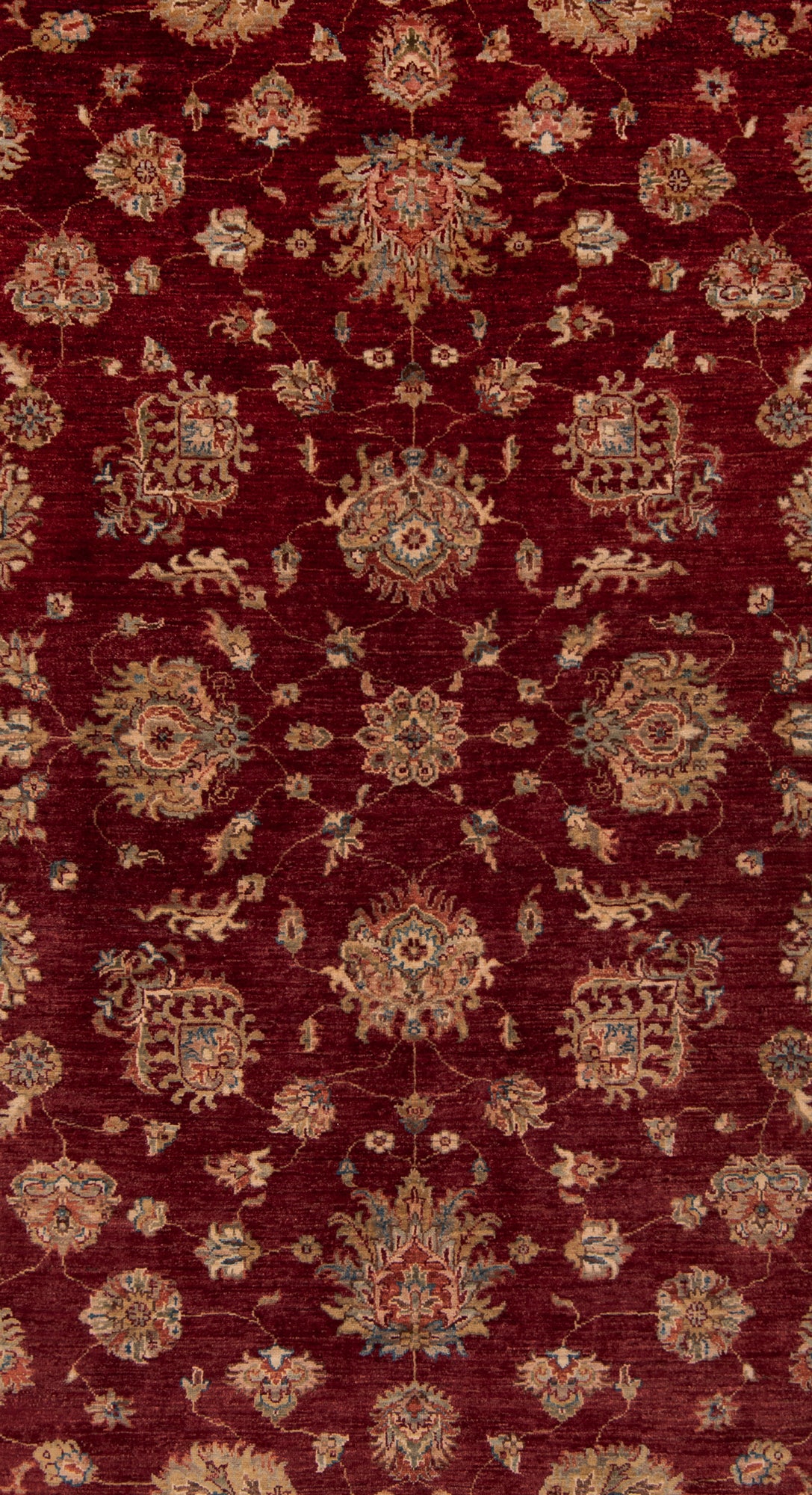 Ziegler Carpet | 301 x 212 cm