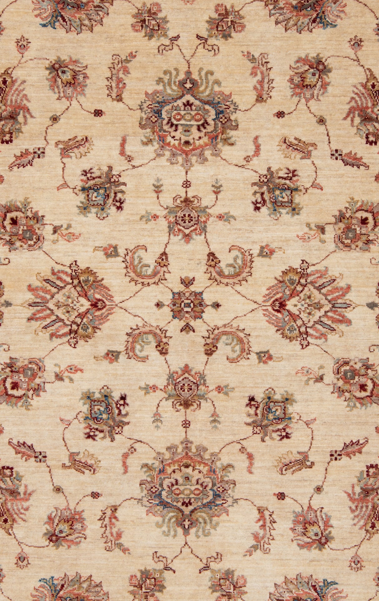 Carpetes de Ziegler Farahan | 200 x 153 cm