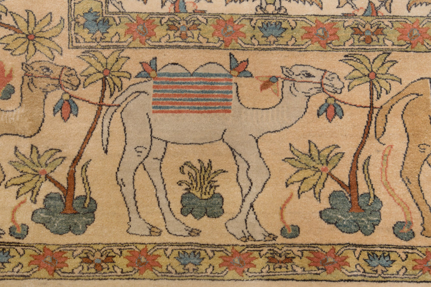 Real Ziegler Carpet persa | 510 x 251 cm