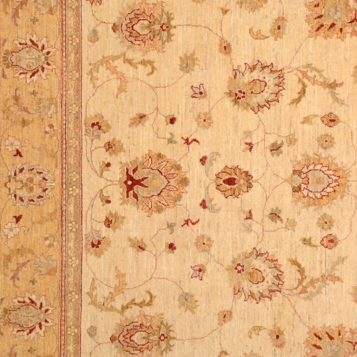 Carpetes de Ziegler Farahan | 314 x 225 cm
