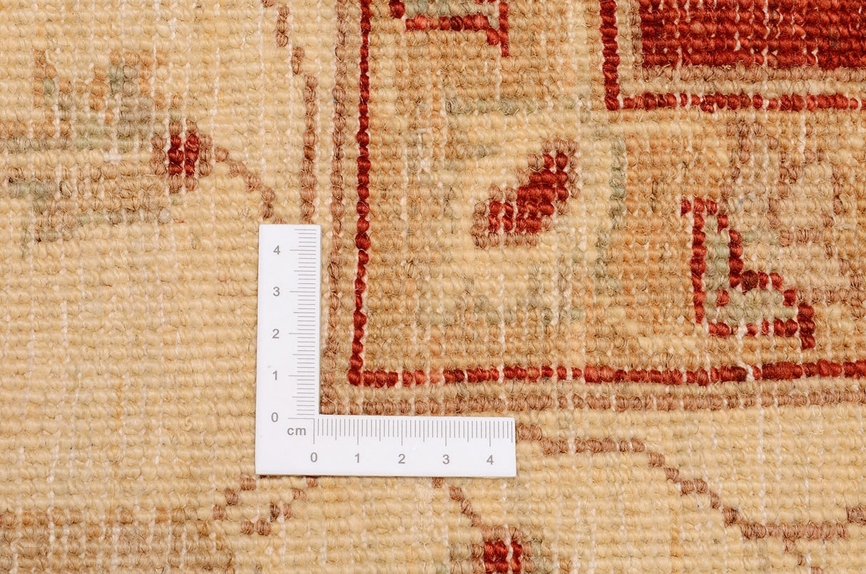 Carpetes de Ziegler Farahan | 310 x 257 cm