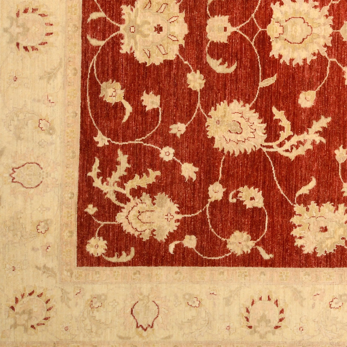 Carpetes de Ziegler Farahan | 298 x 238 cm