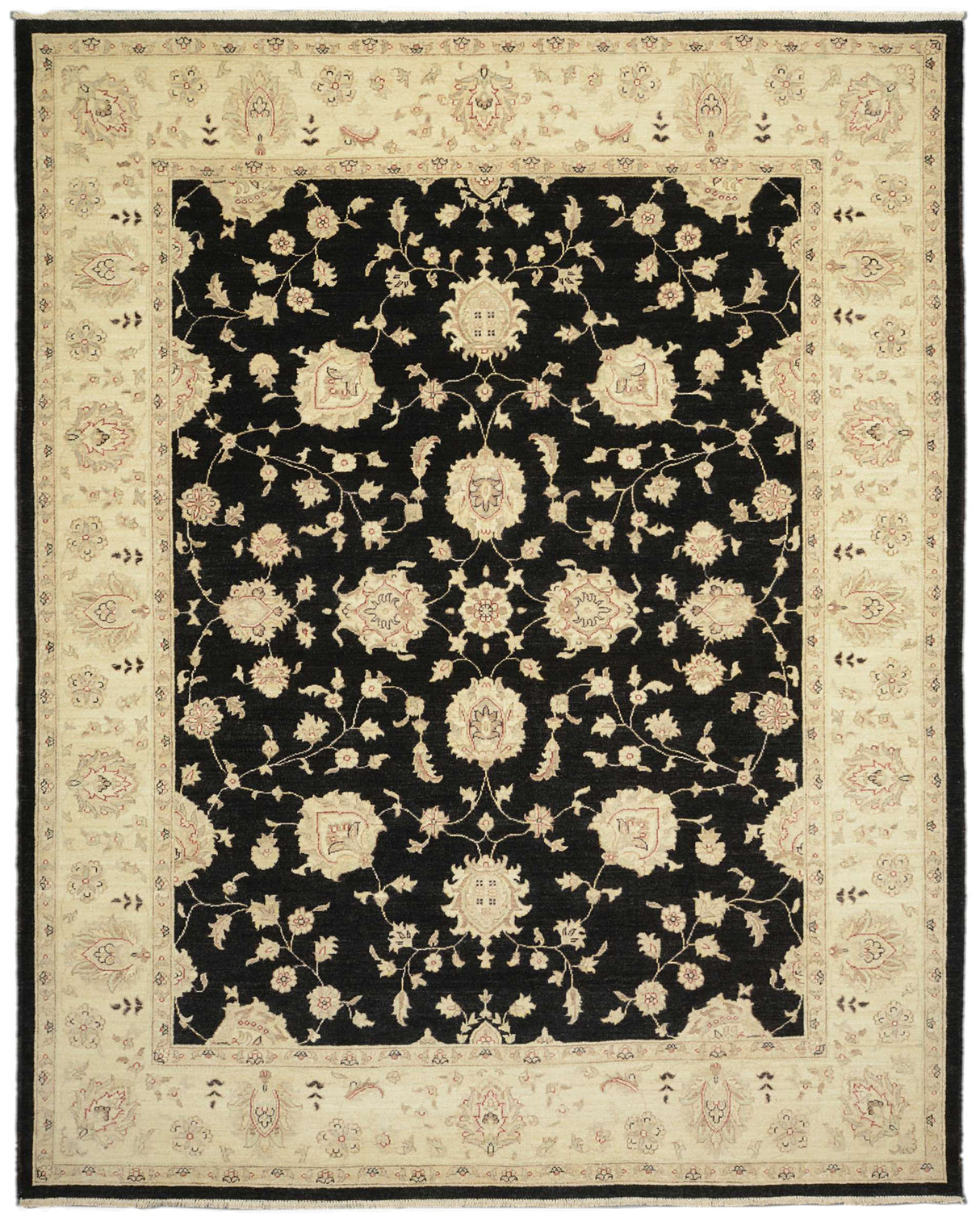 Carpetes de Ziegler Farahan | 308 x 247 cm