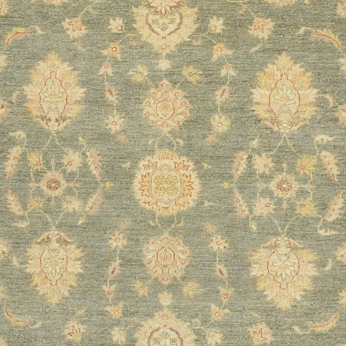 Carpetes de Ziegler Farahan | 290 x 240 cm